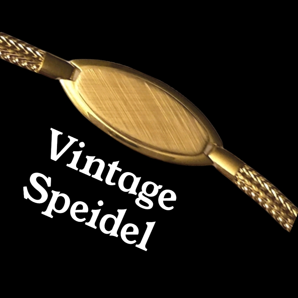Vintage Speidel (New)